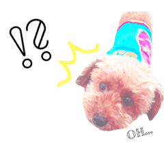 My dog name is RICK