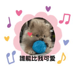 我是可愛的小Q比