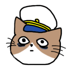 Third Officer / Engineer Cat