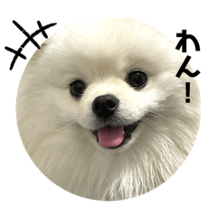 ponzu_stamp