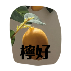 檸檬說您好