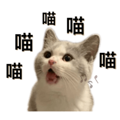 我叫賓士唷(不是法拉利,也不是寶馬)