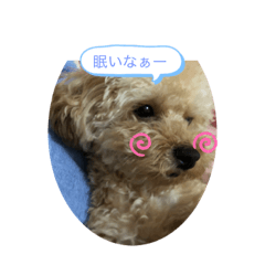 Shelly_20210531001736