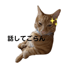 Mizuki_20210531015951