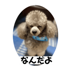 Asuka_20210531121113