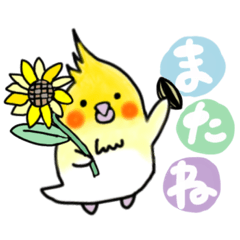 inko no yuuchan