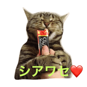 Metal The Cat 2