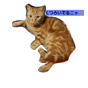 cat 's days