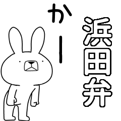 BIG Dialect rabbit[hamada]