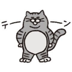 Chubby the silver tabby cat