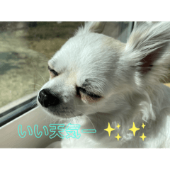 AKIKO_20210531164822