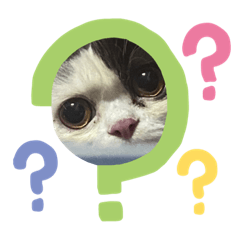 Smile_20210531020034