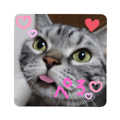 OMOCHI_STAMP1