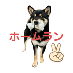 wasabi_20210531213054