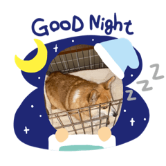 yukari_20210531224842