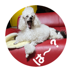 Asuka_20210531232304