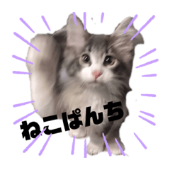 yuka_20210531233337