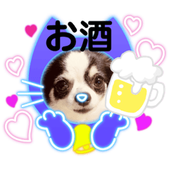 chihiro_20210601005206