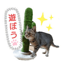 saya_20210601054425