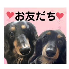 Julia_20210601085001