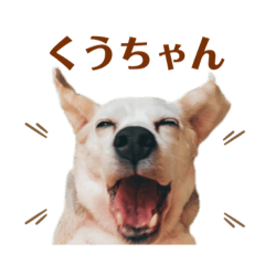 momoko_20210601092500