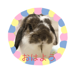 kero_20210531185912
