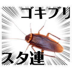 Panda_20210531181548