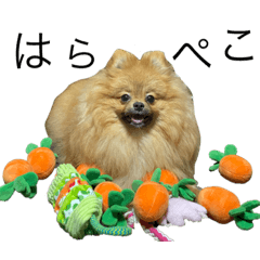 kazuki_20210531185701