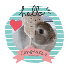 sherry_20210531202339