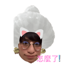 莊文章好醜