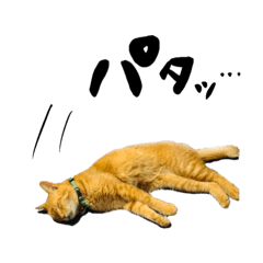 Rukitty_20210601105319