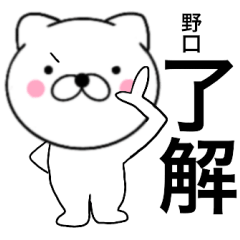 Name cat Noguchi