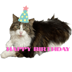 sayuri_20210601113832