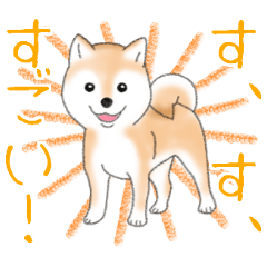 Praise and heal you Love Shiba Inu (dog)