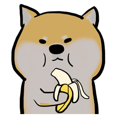 Shiba Inu eats bananas
