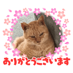 risa_20210601155436
