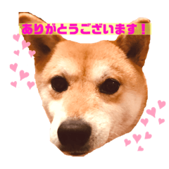 hikari_20210601163714