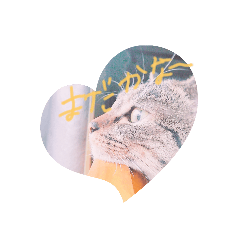 CHIHIRO_20210601182924