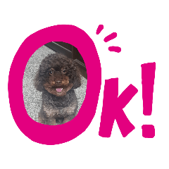 滷蛋の日常生活