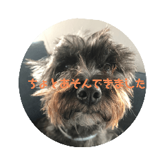 suzu_20210601193200