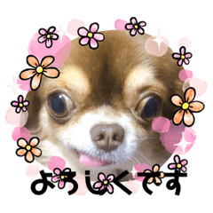 Seira_20210601195058