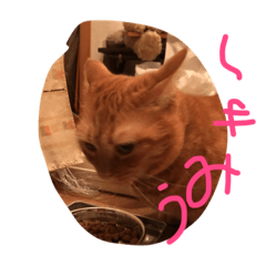 ponzu2