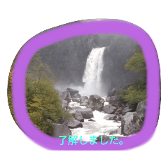 tori_20210601231506