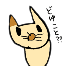 Matsu_20210602002040