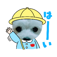 hana_20210601212518