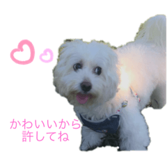 Ayumi_20210601202952