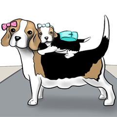 Nikmati beagle (keluarga)