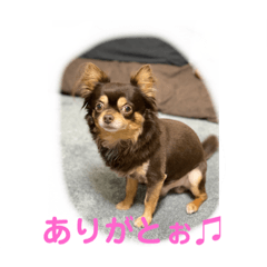 natsmi_20210601192813