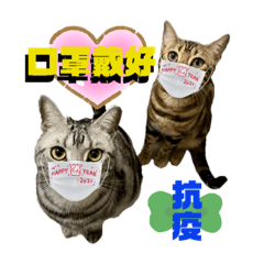 貓太郎maiutalong—與金咪防疫