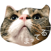 Maro!!